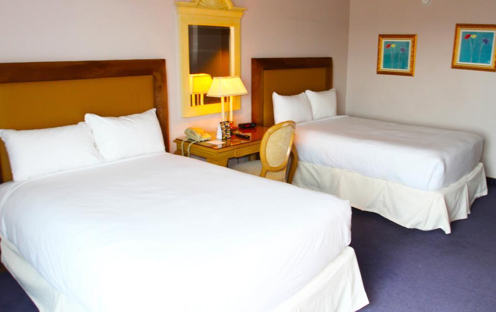 Double Room River View